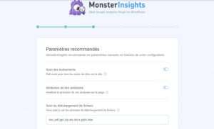 paramètres recommandés de MonsterInsights