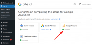 Google Analytics connecté