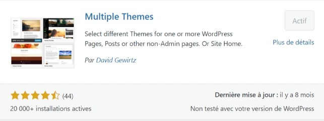 extension Multiple Themes
