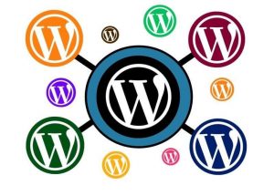 WordPress Multisite 