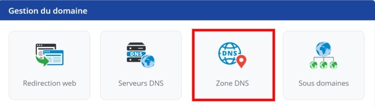 Entrez dans la zone DNS