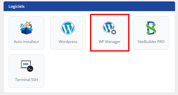 wp Manager