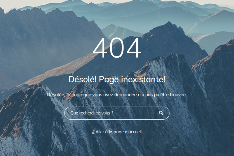 mettre en place une page d’erreur 404 personnalisée sur WordPress