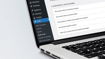 miniature-sante-du-site-wordpress