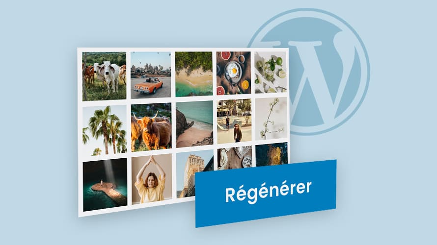 Régénérer les images WordPress pourquoi et comment faire