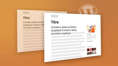 miniature-limiter-le-contenu-duplique-dans-wordpress