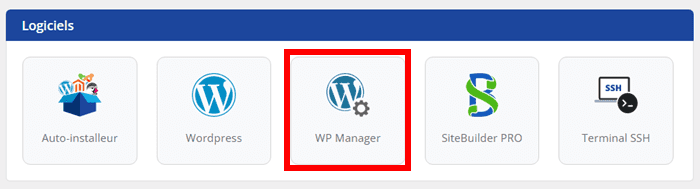 WP Manager LWS
