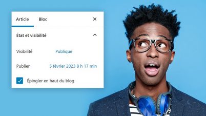miniature-article-epingle-wordpress