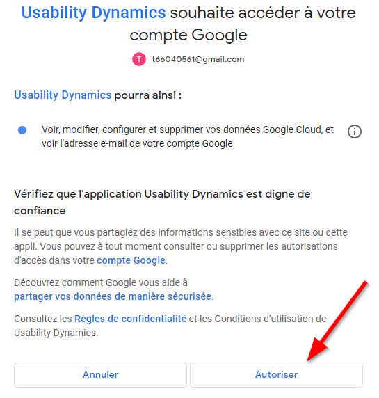Autoriser Usability Dynamics à accéder à votre compte Google