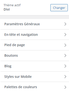 personnaliser thème WordPress options disponibles