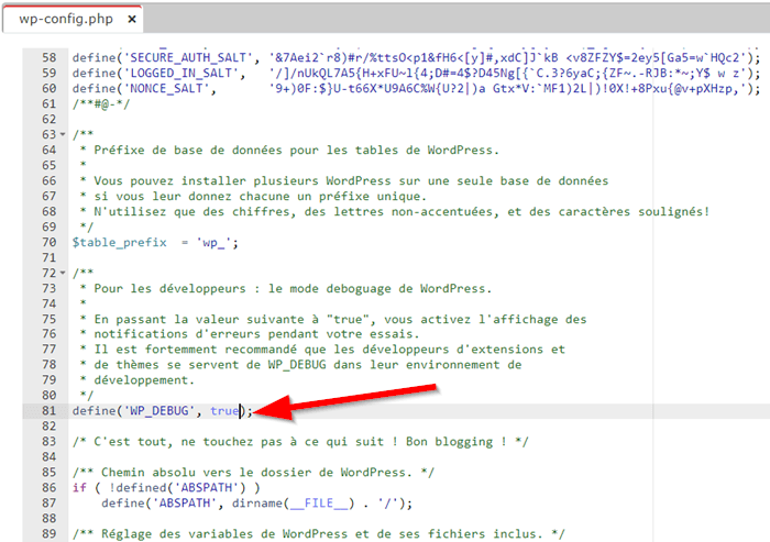 Activer le mode débogage via wp-config.php pour corriger l'erreur "Une erreur critique s'est produite sur ce site web"