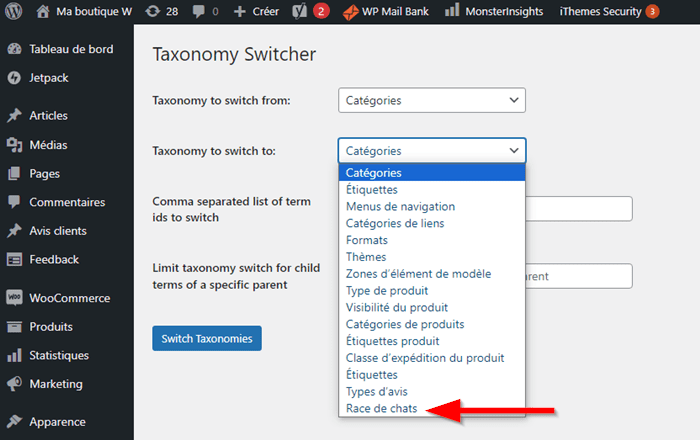 Choix de taxonomie personnalisée pour la conversion de catégories