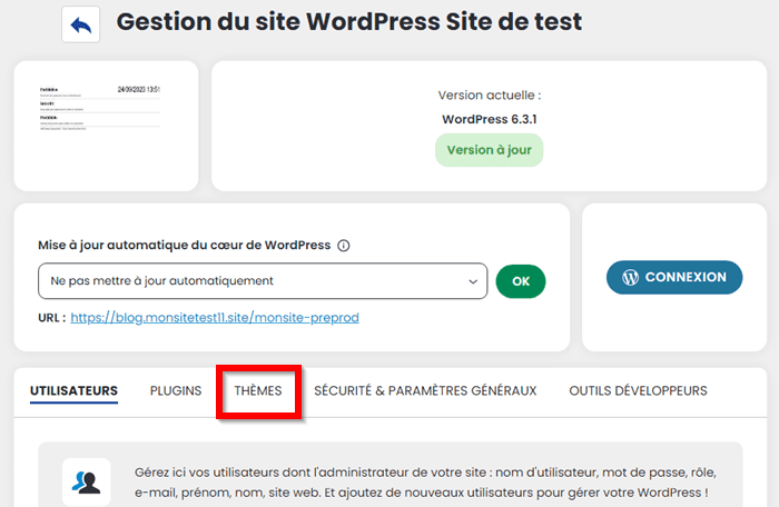 Thème WordPress/WP Manager LWS