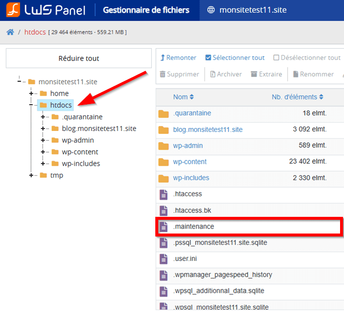 Accéder au répertoire htdocs/Linux Standard