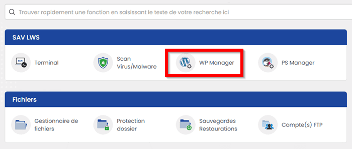 WP Manager de LWS