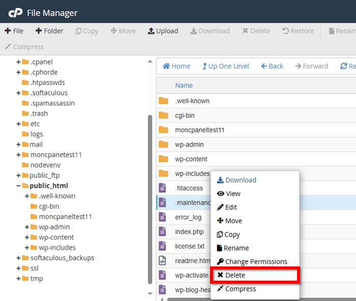 Supprimer le fichier .maintenance sur cPanel LWS