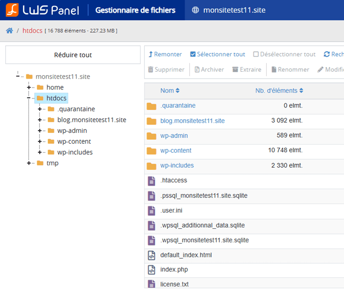 Gestionnaire de fichiers LWS Panel