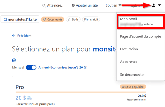 Configurer le CDN Cloudflare sur WordPress - mon profil Cloudflare