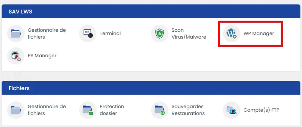 WP Manager de LWS