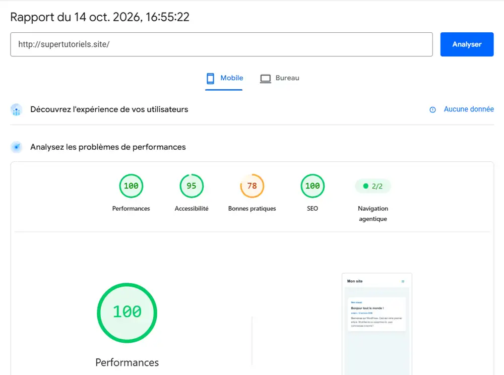 Capture montrant l'analyse du site sur PageSpeed Insight