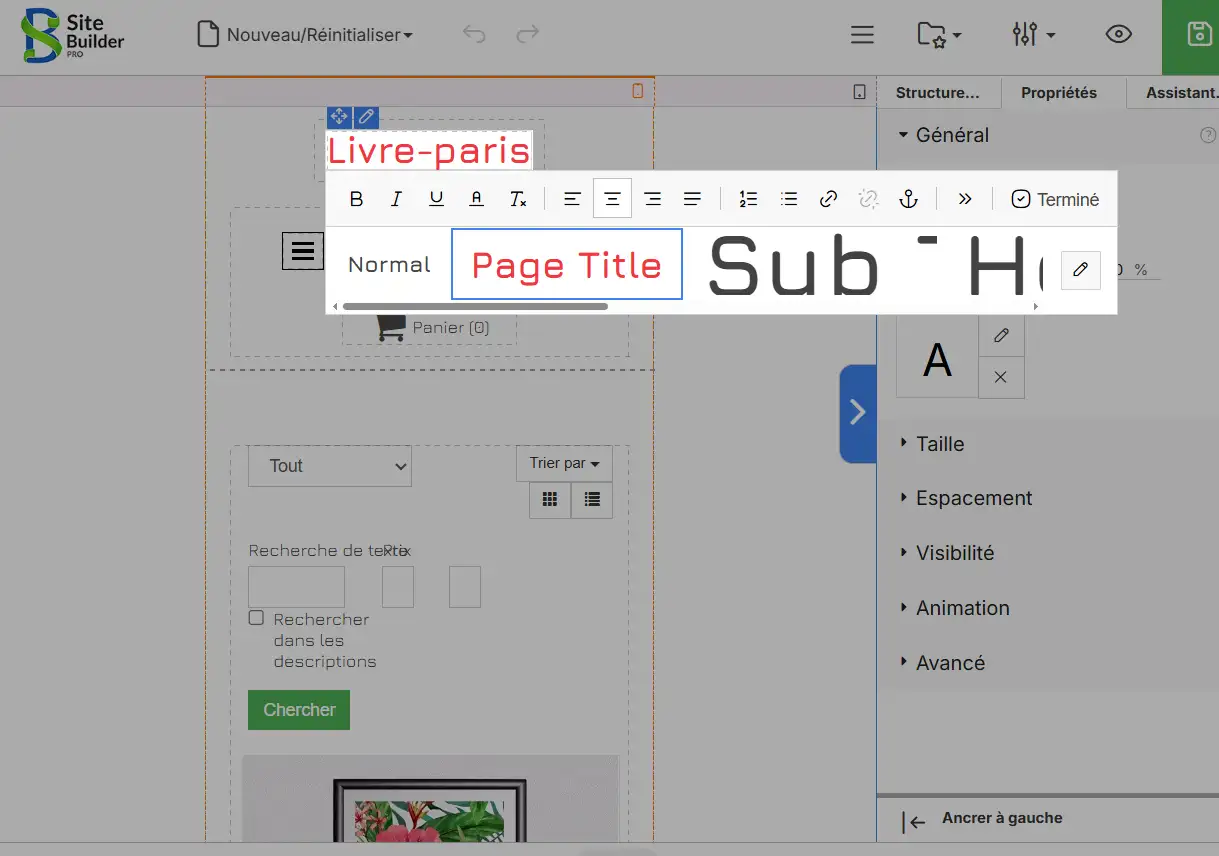 Personnaliser son site dans l'éditeur SiteBuilder Pro
