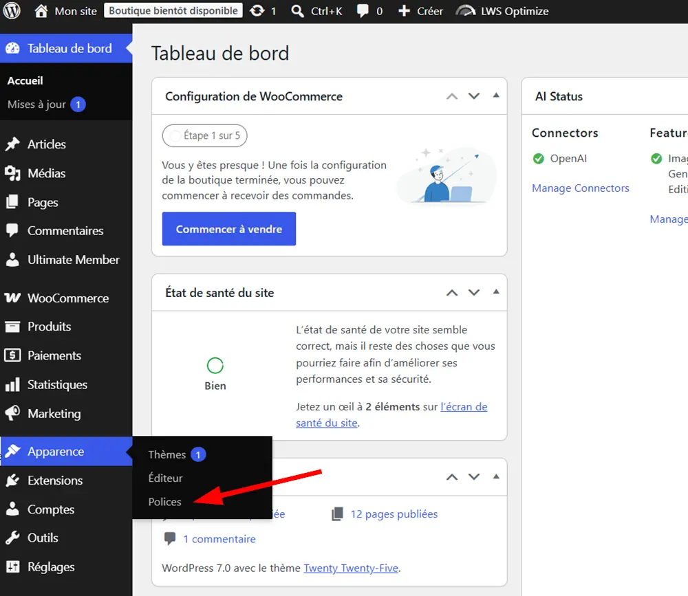 Polices WordPress