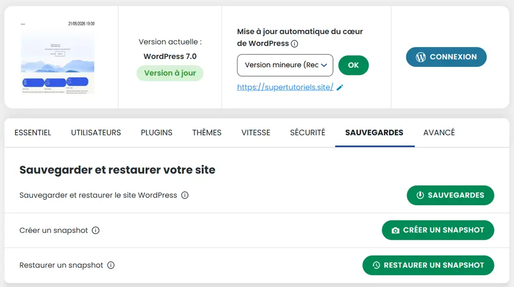 Sauvegarder WordPress via WP Manager de LWS