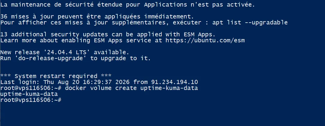 Créer un volume uptime Kuma
