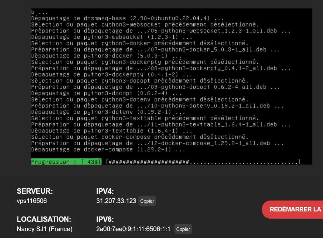Mettre à jour les dépendances Docker sur VPS KVM LWS