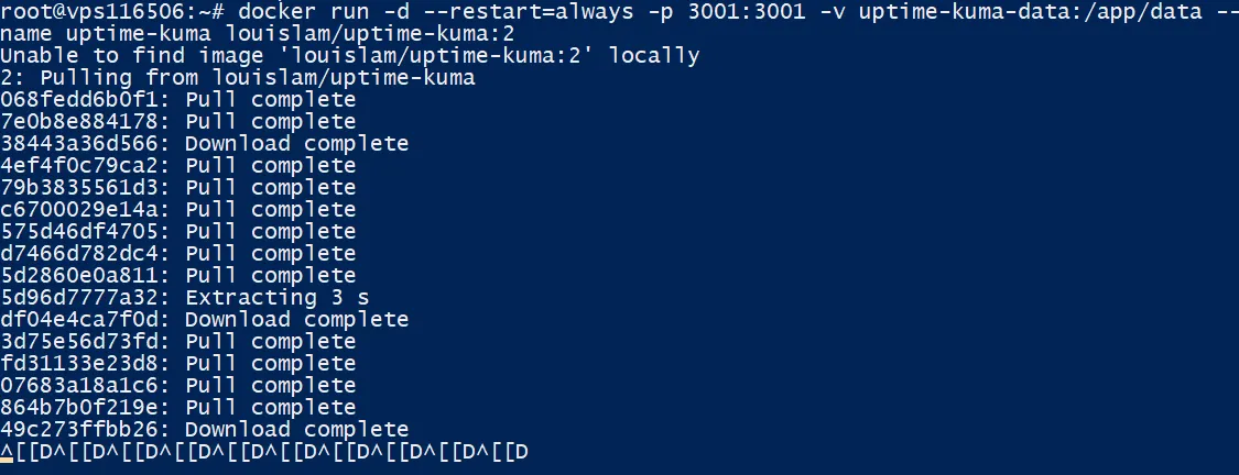 Lancer un conteneur Uptime sur le VPS KVM LWS