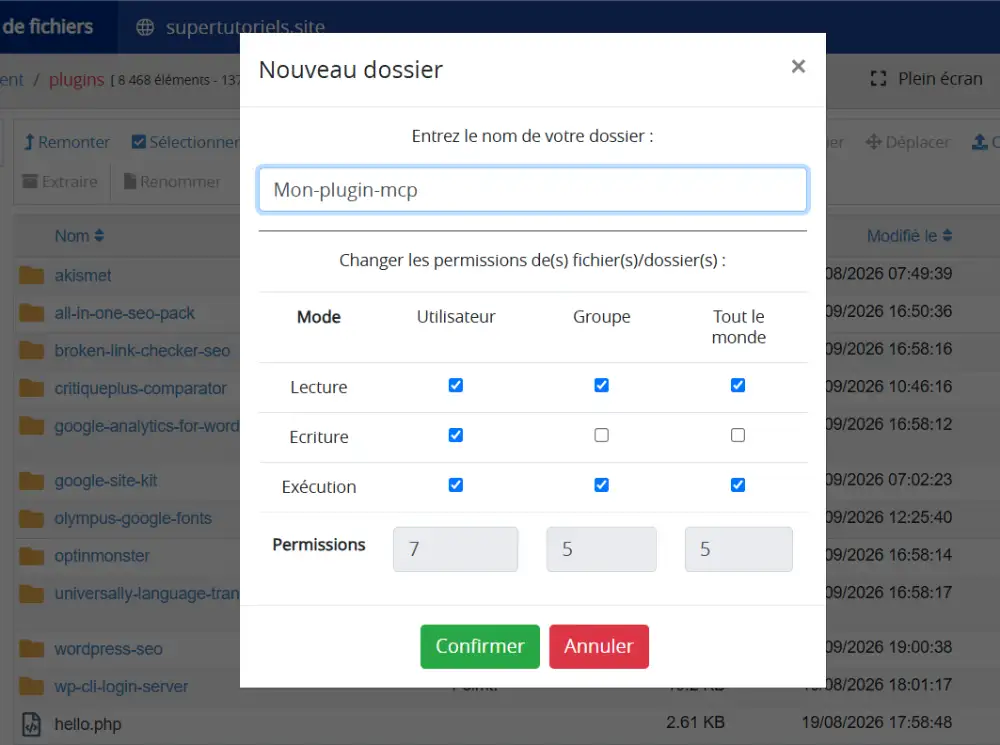 Créer un dossier Mon plugin MCP