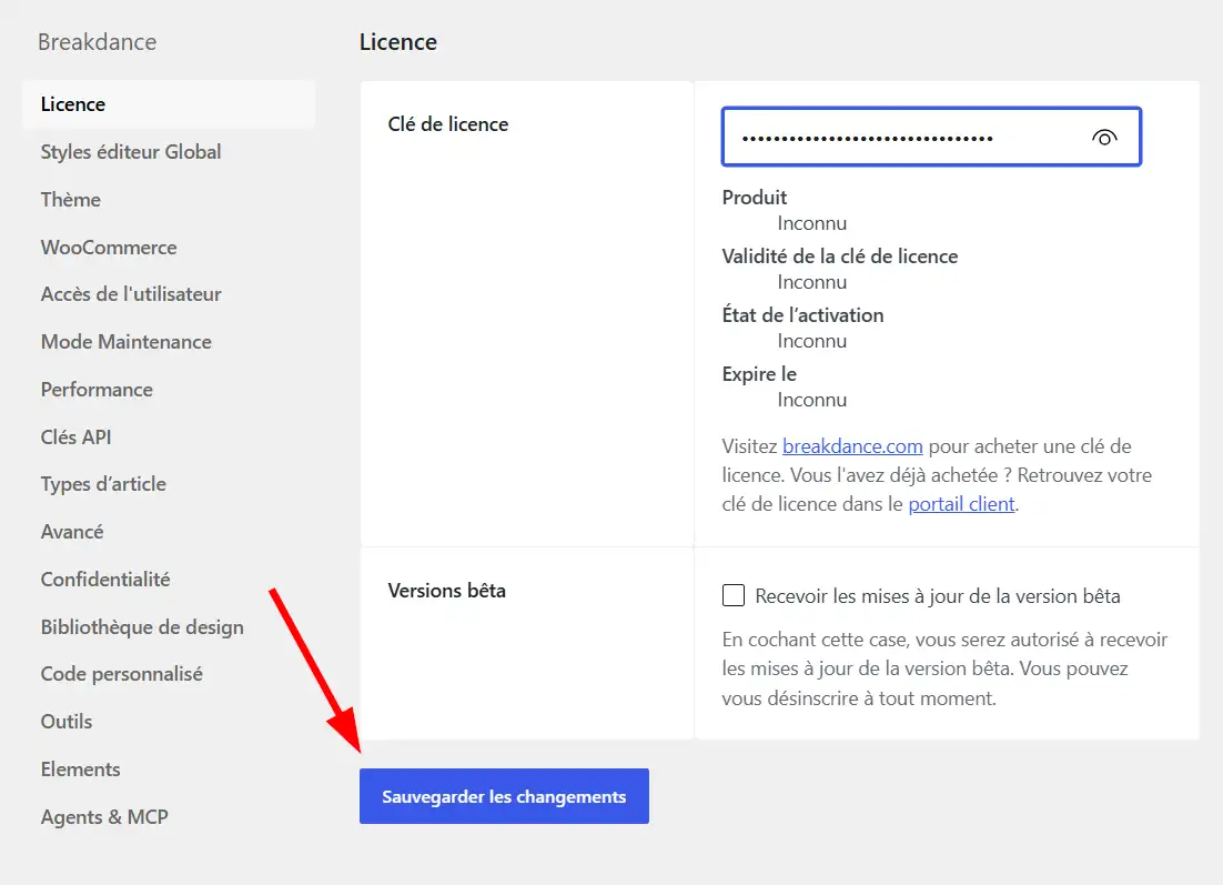 Renseigner et activer la licence dans WordPress